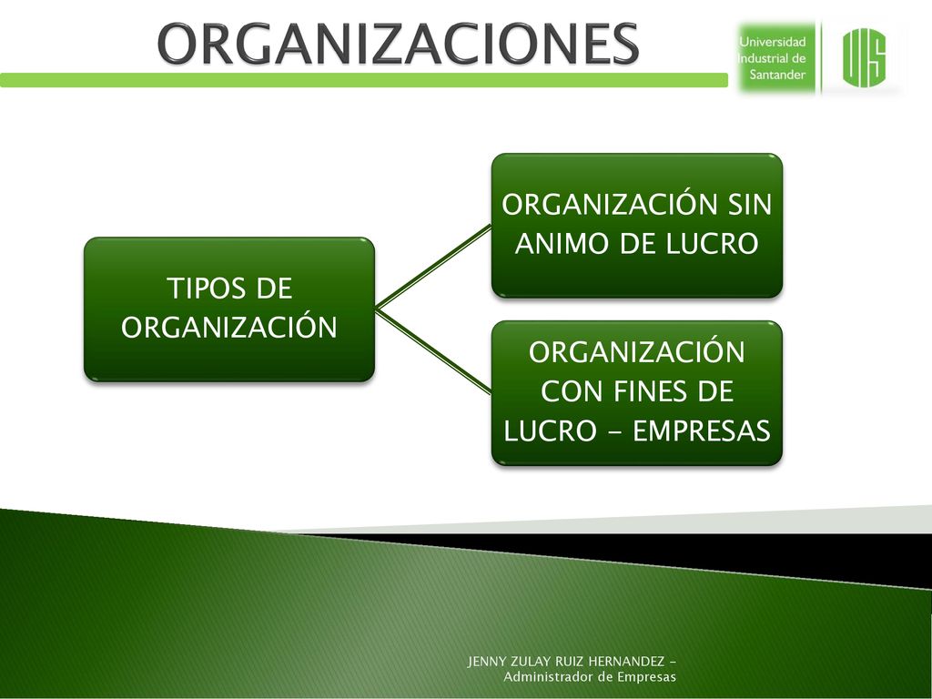 ORGANIZACIONES ORGANIZACIÓN SIN ANIMO DE LUCRO TIPOS DE ORGANIZACIÓN