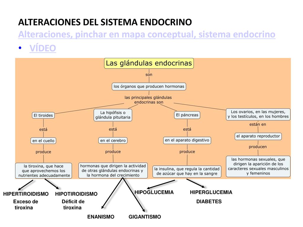 ALTERACIONES DEL SISTEMA ENDOCRINO Alteraciones, pinchar en mapa conceptual, sistema endocrino