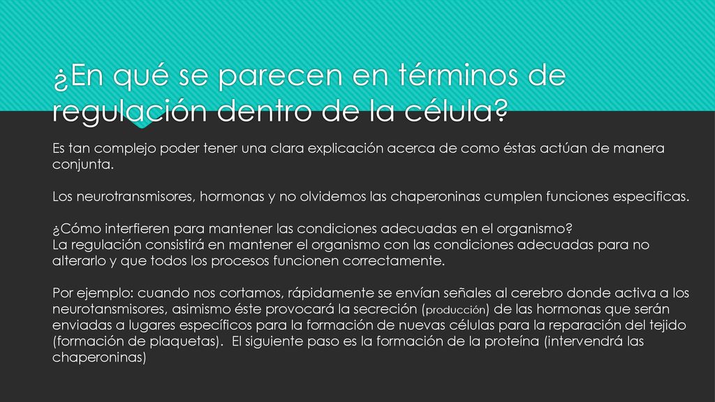 ¿En qué se parecen en términos de regulación dentro de la célula