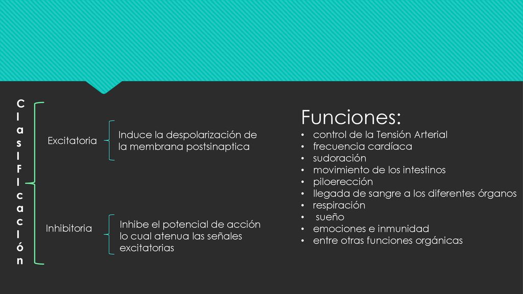 Funciones: C l a s I F cac ón control de la Tensión Arterial