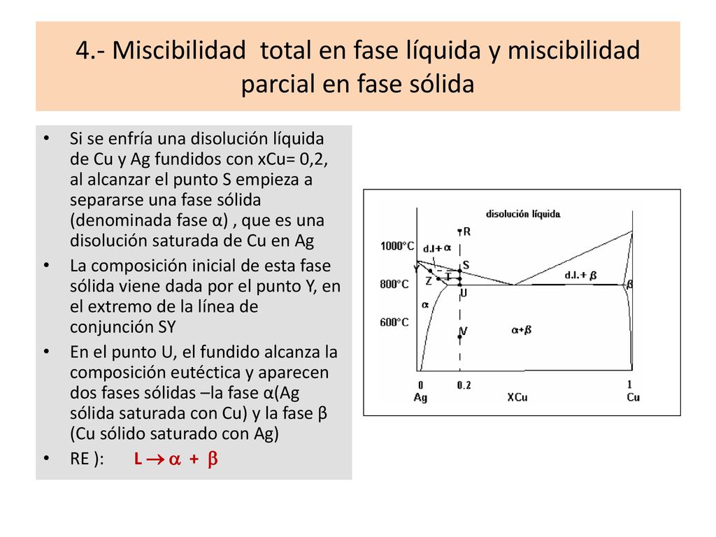 4.- Miscibilidad total en fase líquida y miscibilidad parcial en fase sólida