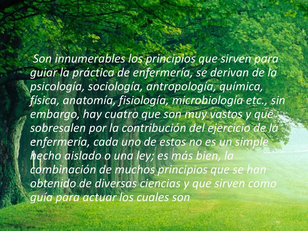 Son innumerables los principios que sirven para guiar la práctica de enfermería, se derivan de la psicología, sociología, antropología, química, física, anatomía, fisiología, microbiología etc., sin embargo, hay cuatro que son muy vastos y que sobresalen por la contribución del ejercicio de la enfermería, cada uno de estos no es un simple hecho aislado o una ley; es más bien, la combinación de muchos principios que se han obtenido de diversas ciencias y que sirven como guía para actuar los cuales son