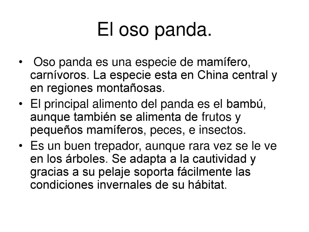 El oso panda. Oso panda es una especie de mamífero, carnívoros. La especie esta en China central y en regiones montañosas.