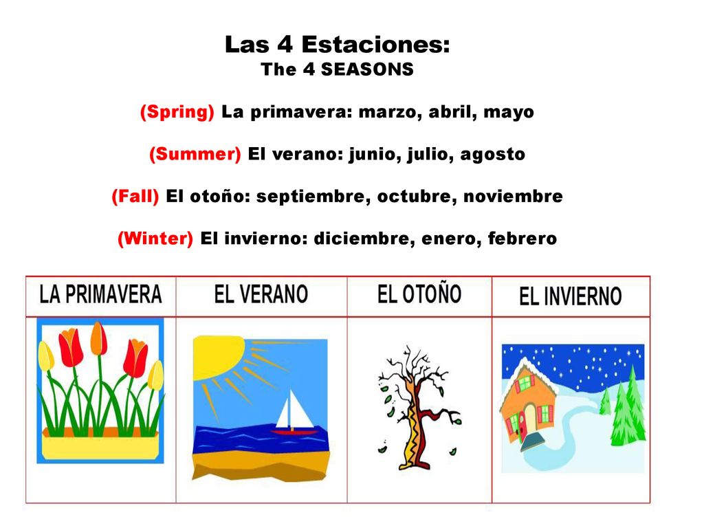 Las 4 Estaciones: The 4 SEASONS (Spring) La primavera: marzo, abril, mayo (Summer) El verano: junio, julio, agosto (Fall) El otoño: septiembre, octubre, noviembre (Winter) El invierno: diciembre, enero, febrero