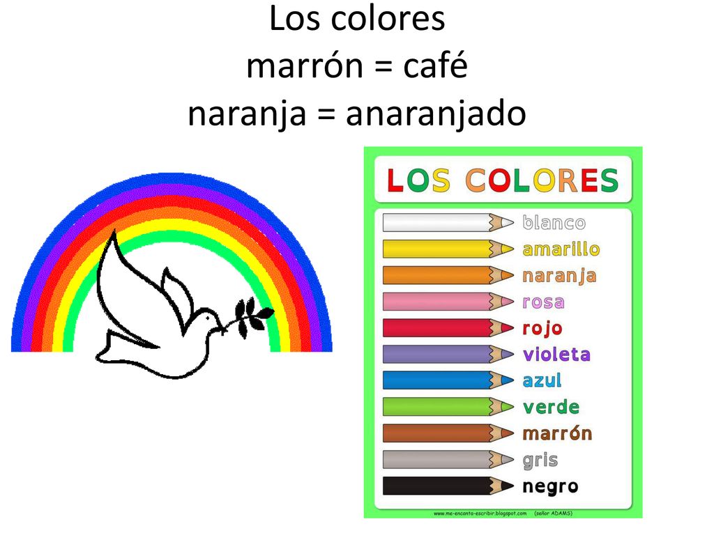Los colores marrón = café naranja = anaranjado