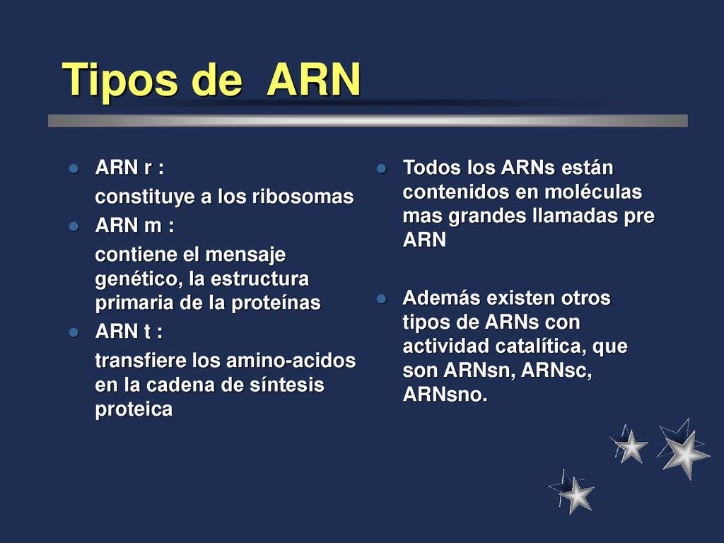 Tipos de ARN ARN r : constituye a los ribosomas ARN m :