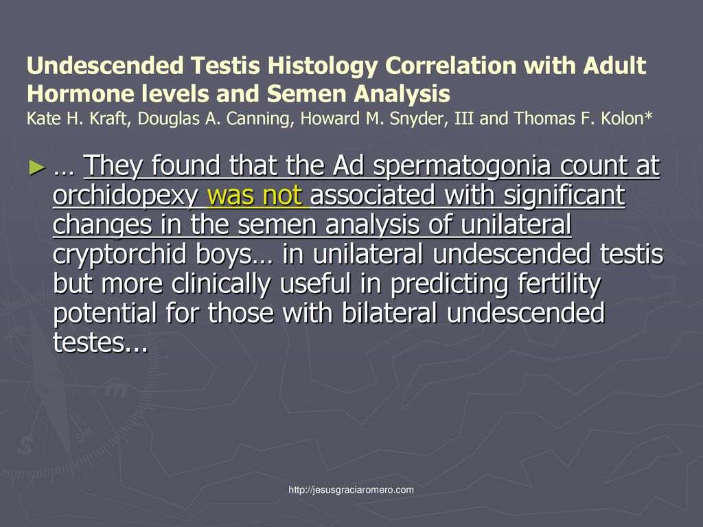 Undescended Testis Histology Correlation with Adult Hormone levels and Semen Analysis Kate H. Kraft, Douglas A. Canning, Howard M. Snyder, III and Thomas F. Kolon*