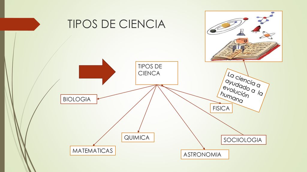 TIPOS DE CIENCIA TIPOS DE CIENCA
