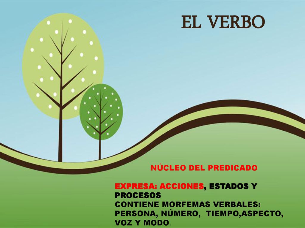 EL VERBO NÚCLEO DEL PREDICADO EXPRESA: ACCIONES, ESTADOS Y PROCESOS