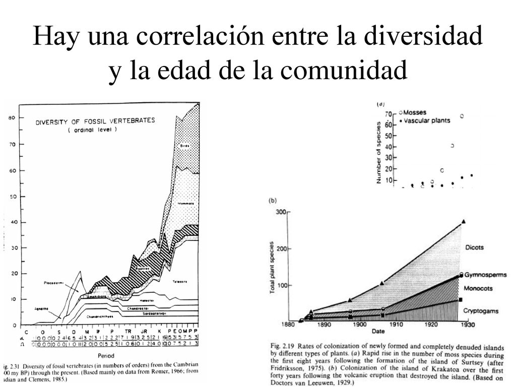 Hay una correlación entre la diversidad y la edad de la comunidad