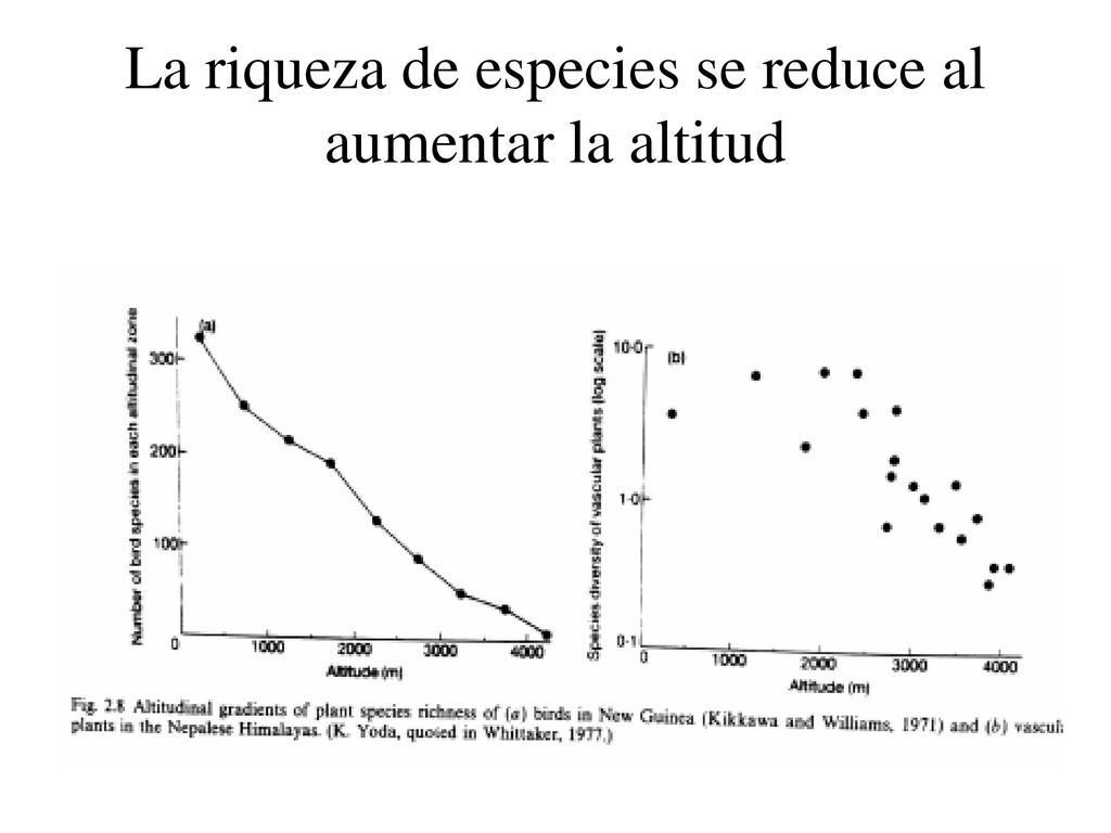 La riqueza de especies se reduce al aumentar la altitud