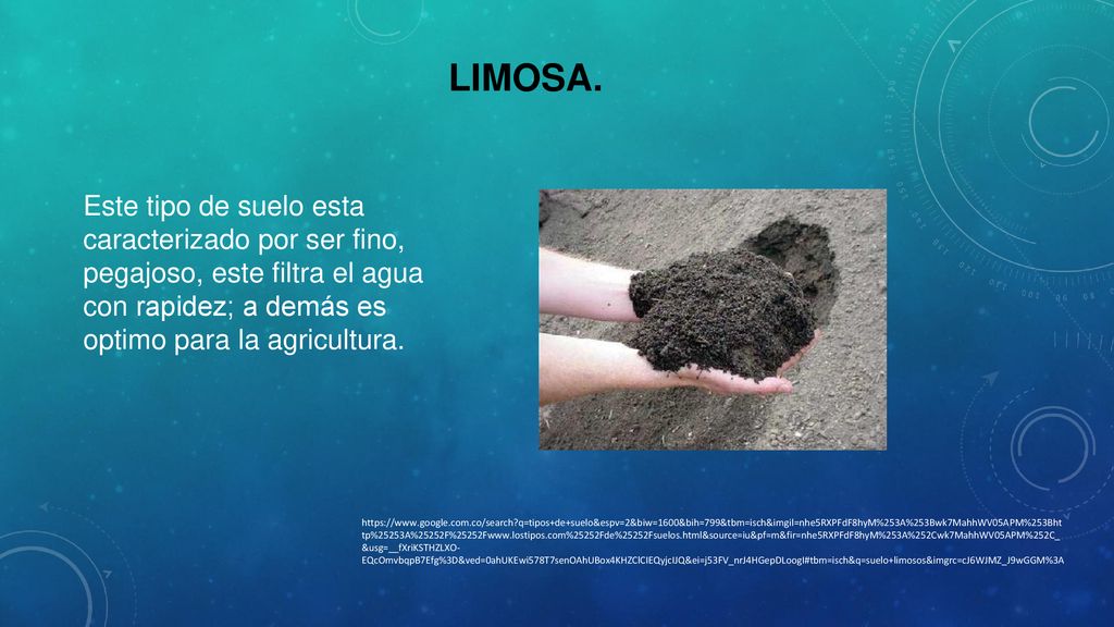 Limosa. Este tipo de suelo esta caracterizado por ser fino, pegajoso, este filtra el agua con rapidez; a demás es optimo para la agricultura.