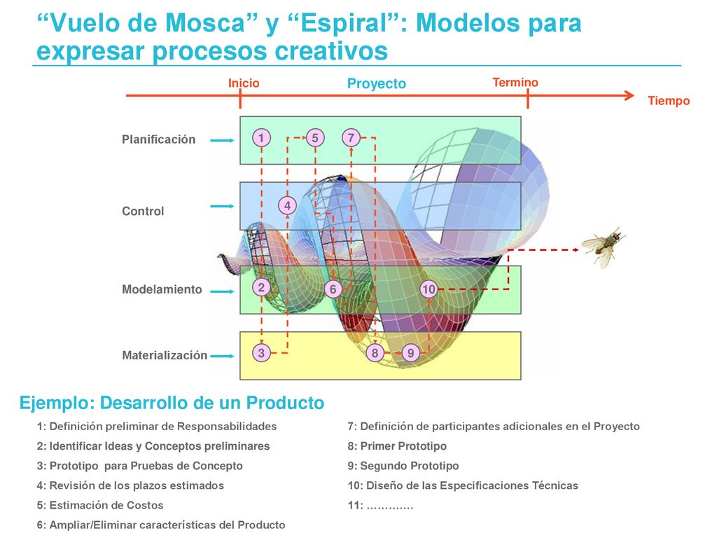 Vuelo de Mosca y Espiral : Modelos para expresar procesos creativos