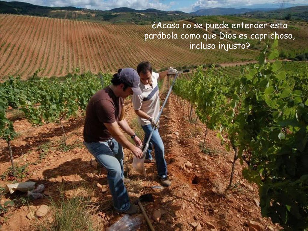 ¿Acaso no se puede entender esta parábola como que Dios es caprichoso, incluso injusto