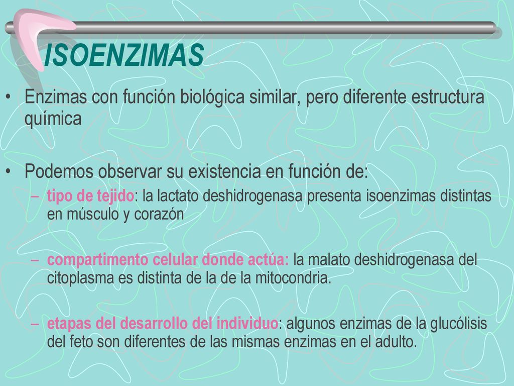 ISOENZIMAS Enzimas con función biológica similar, pero diferente estructura química. Podemos observar su existencia en función de: