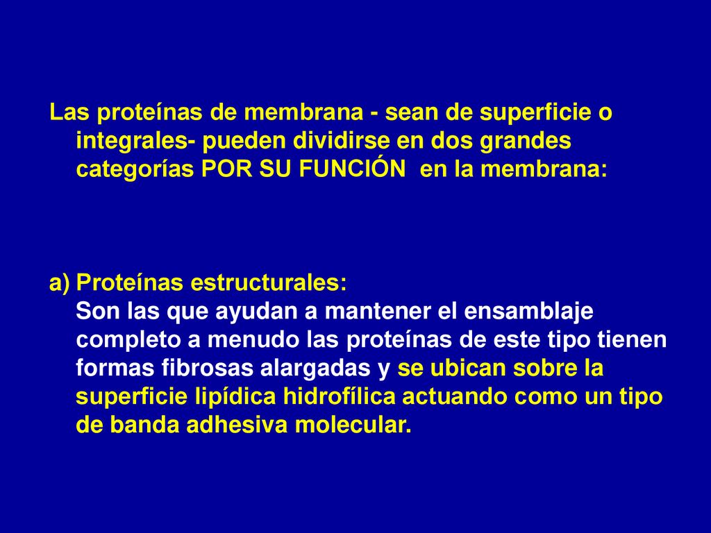 Las proteínas de membrana - sean de superficie o integrales- pueden dividirse en dos grandes categorías POR SU FUNCIÓN en la membrana:
