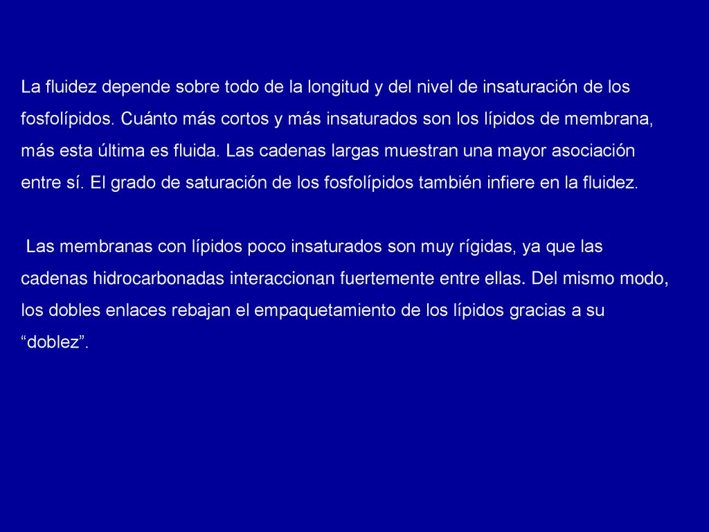La fluidez depende sobre todo de la longitud y del nivel de insaturación de los fosfolípidos. Cuánto más cortos y más insaturados son los lípidos de membrana, más esta última es fluida. Las cadenas largas muestran una mayor asociación entre sí. El grado de saturación de los fosfolípidos también infiere en la fluidez.