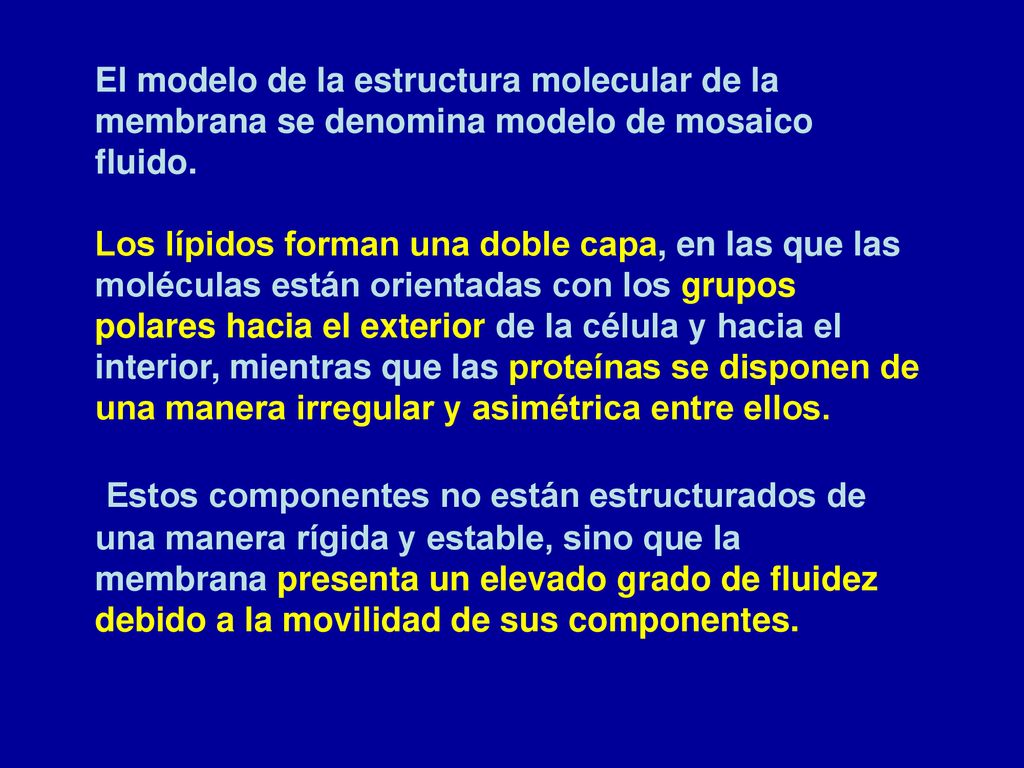 El modelo de la estructura molecular de la membrana se denomina modelo de mosaico fluido.