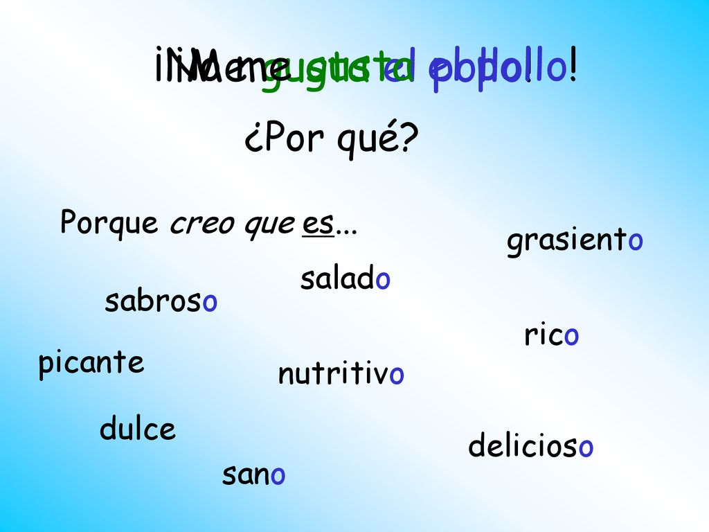 ¡No me gusta el pollo! ¡Me gusta el pollo! ¿Por qué