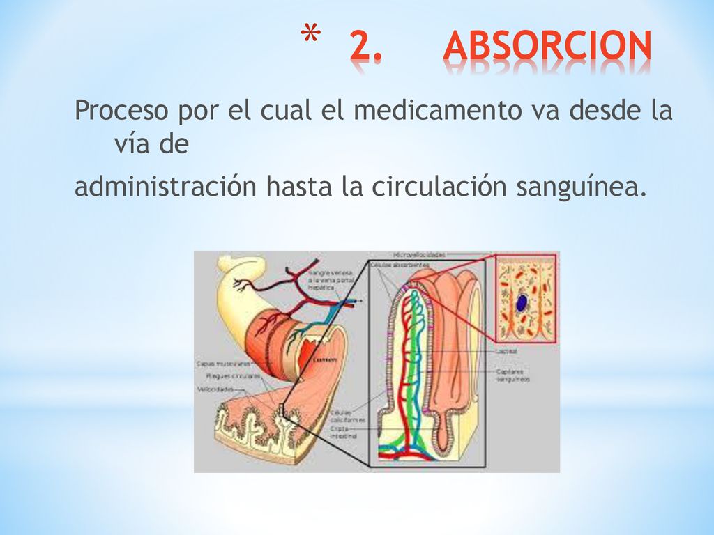 2. ABSORCION Proceso por el cual el medicamento va desde la vía de