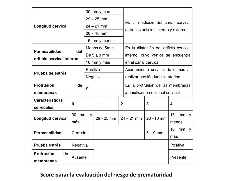 Score parar la evaluación del riesgo de prematuridad