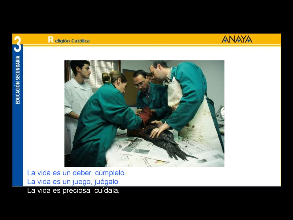 La vida es un deber, cúmplelo. La vida es un juego, juégalo