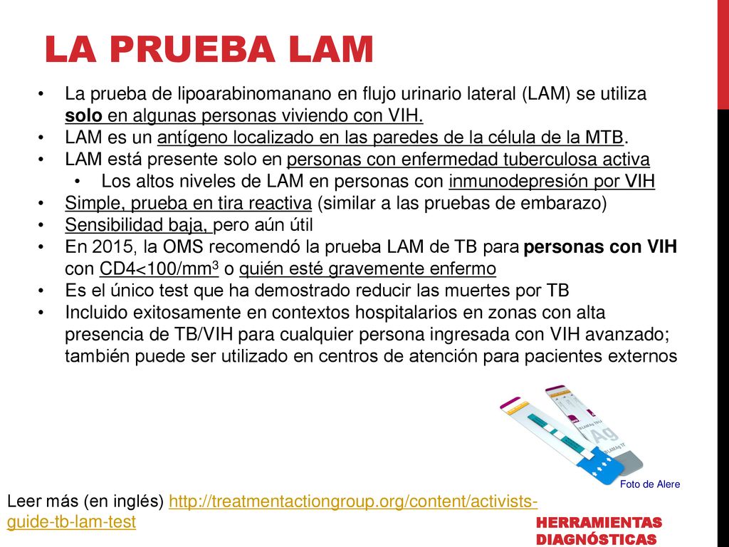 LA PRUEBA LAM La prueba de lipoarabinomanano en flujo urinario lateral (LAM) se utiliza solo en algunas personas viviendo con VIH.