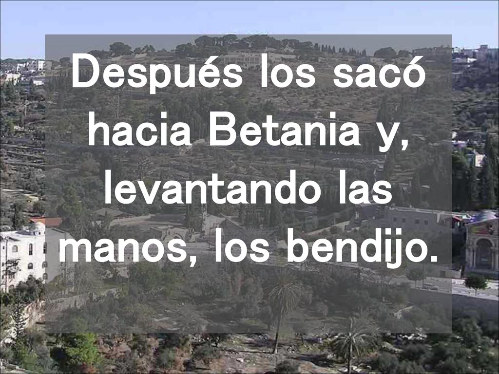 Después los sacó hacia Betania y, levantando las manos, los bendijo.