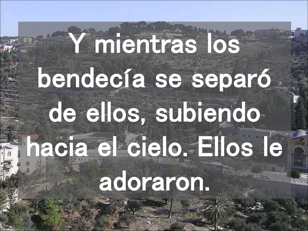 Y mientras los bendecía se separó de ellos, subiendo hacia el cielo