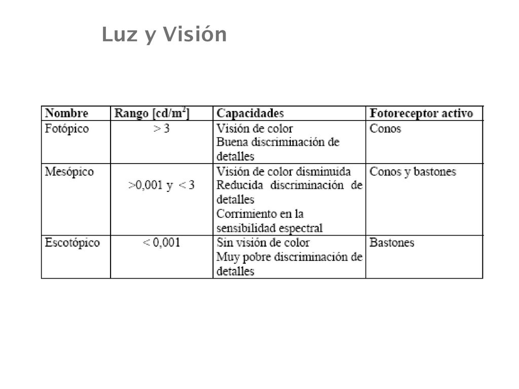 Luz y Visión Coroides Humor vítreo Humor acuoso (Conos y bastones)