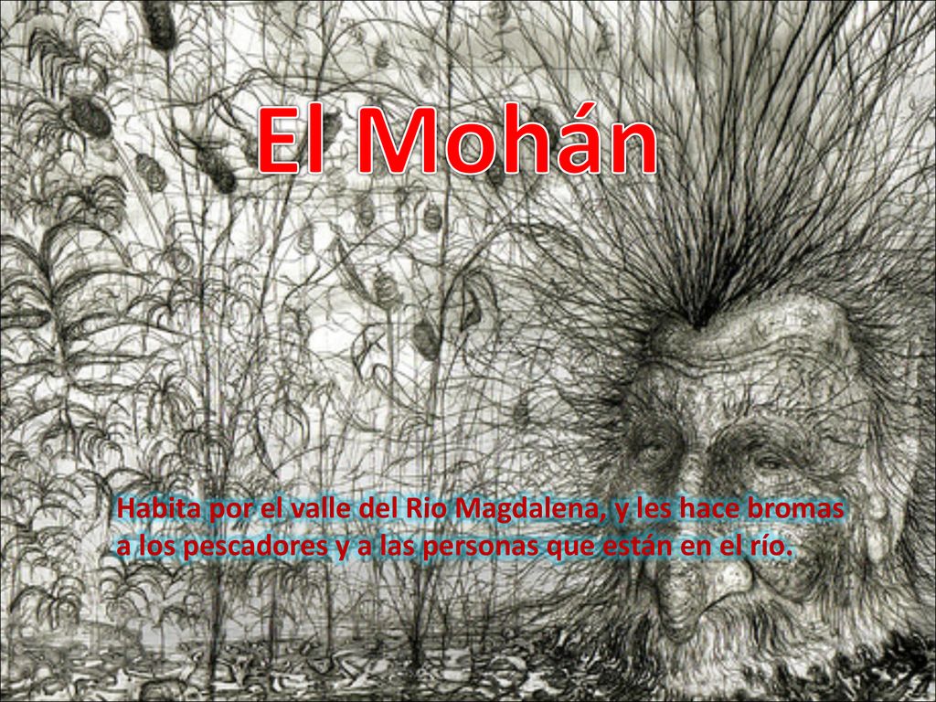 El Mohán Habita por el valle del Rio Magdalena, y les hace bromas a los pescadores y a las personas que están en el río.