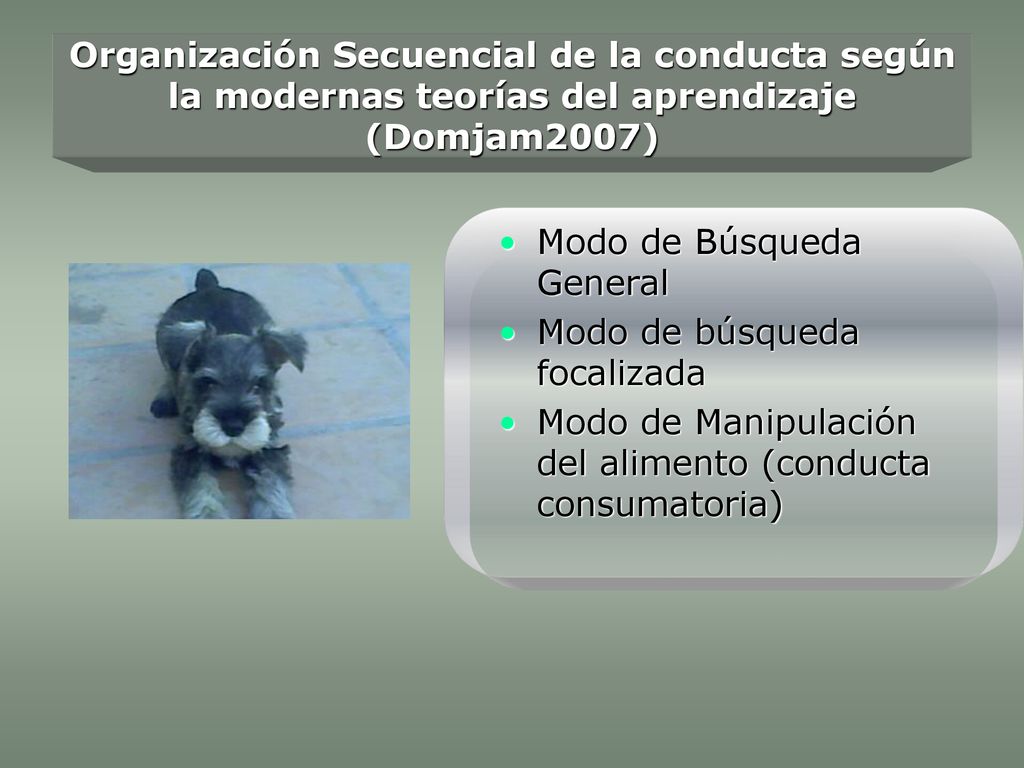 Organización Secuencial de la conducta según la modernas teorías del aprendizaje (Domjam2007)