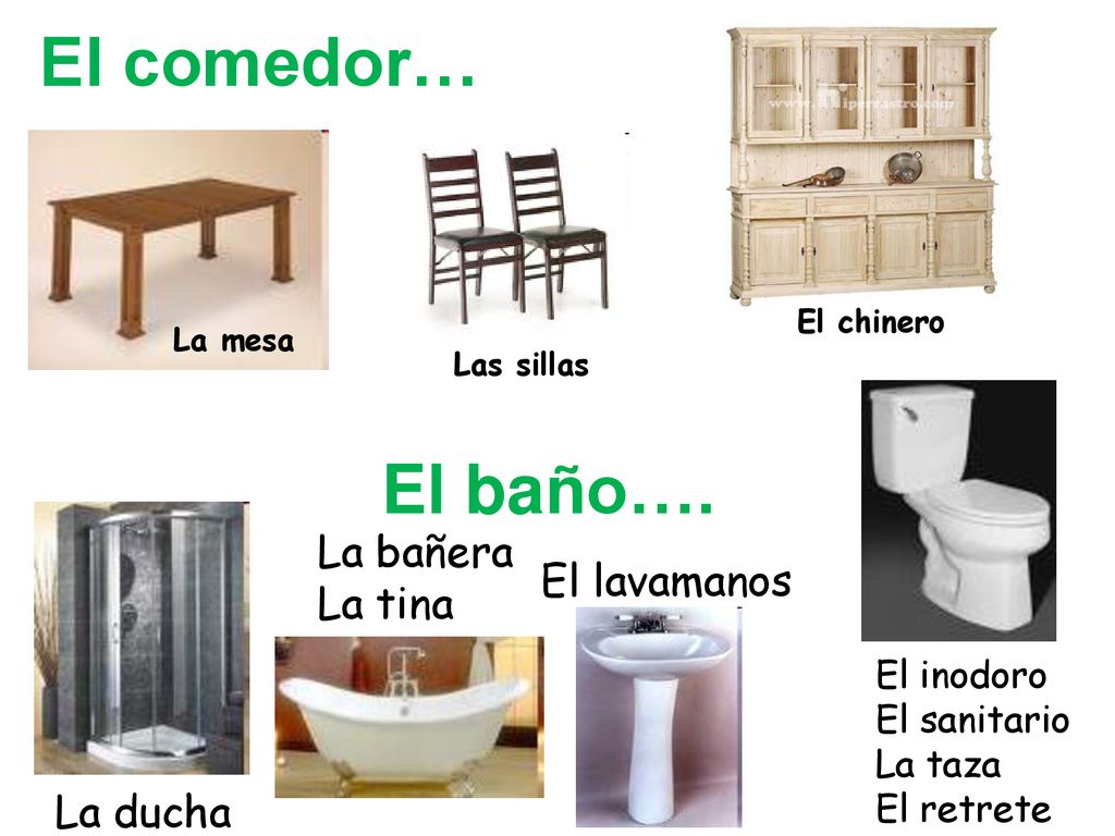 El comedor… El baño…. La bañera La tina El lavamanos La ducha