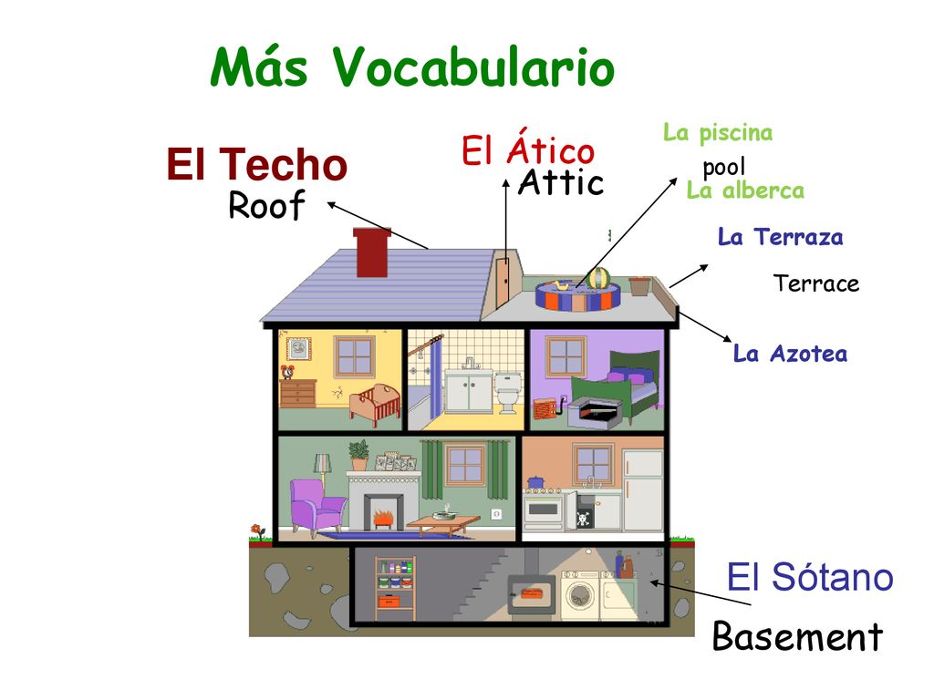 Más Vocabulario El Techo El Sótano Basement El Ático Attic Roof