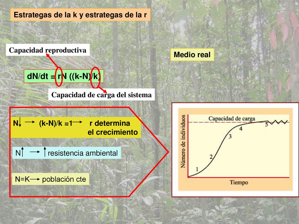 dN/dt = rN ((k-N)/k) Estrategas de la k y estrategas de la r