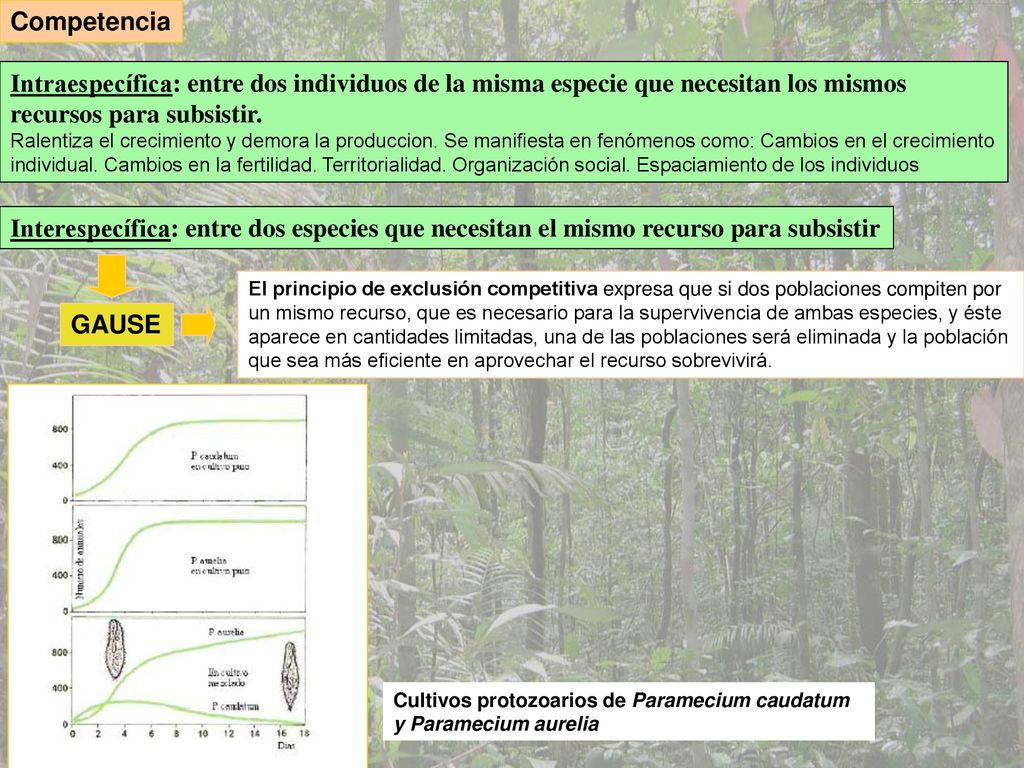 Competencia Intraespecífica: entre dos individuos de la misma especie que necesitan los mismos recursos para subsistir.