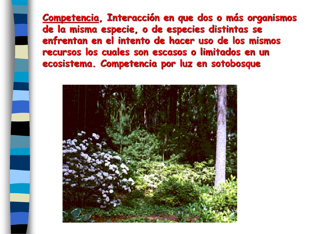 Competencia, Interacción en que dos o más organismos de la misma especie, o de especies distintas se enfrentan en el intento de hacer uso de los mismos recursos los cuales son escasos o limitados en un ecosistema.