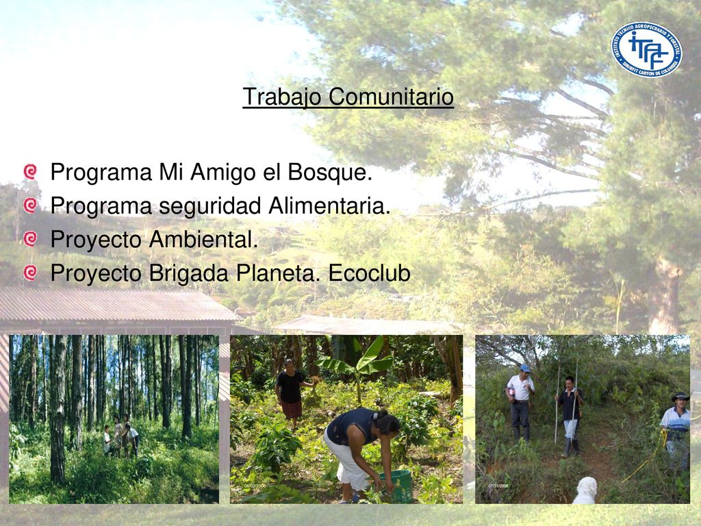 Trabajo Comunitario Programa Mi Amigo el Bosque. Programa seguridad Alimentaria. Proyecto Ambiental.