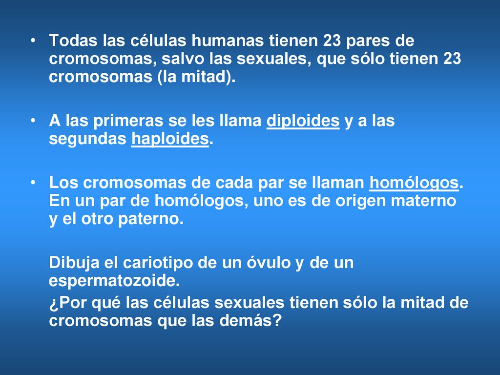 Todas las células humanas tienen 23 pares de cromosomas, salvo las sexuales, que sólo tienen 23 cromosomas (la mitad).