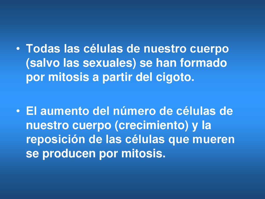 Todas las células de nuestro cuerpo (salvo las sexuales) se han formado por mitosis a partir del cigoto.