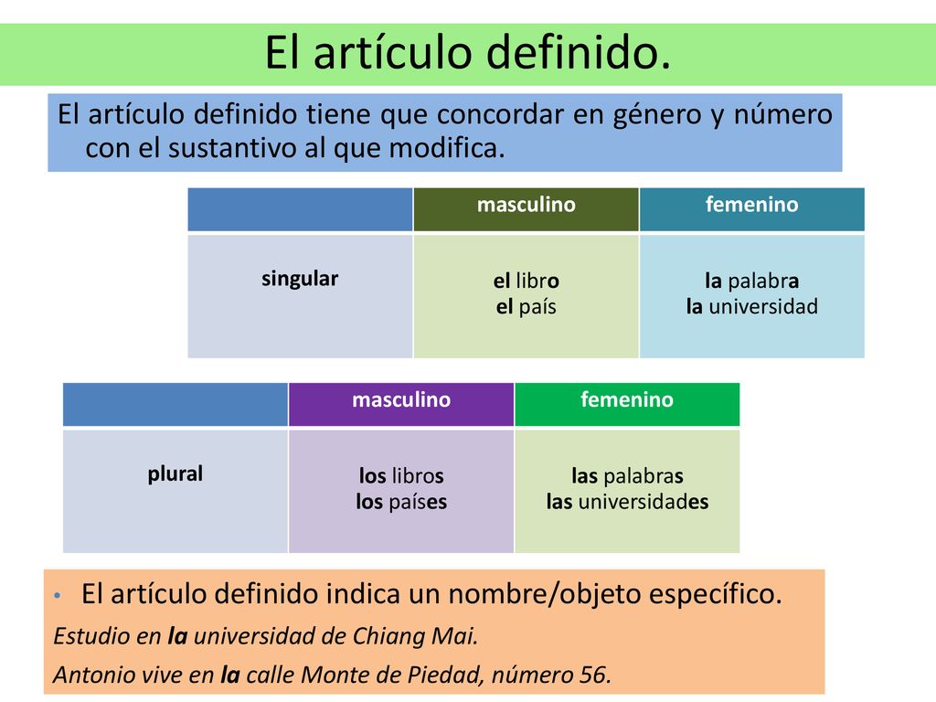 El artículo definido. El artículo definido tiene que concordar en género y número con el sustantivo al que modifica.