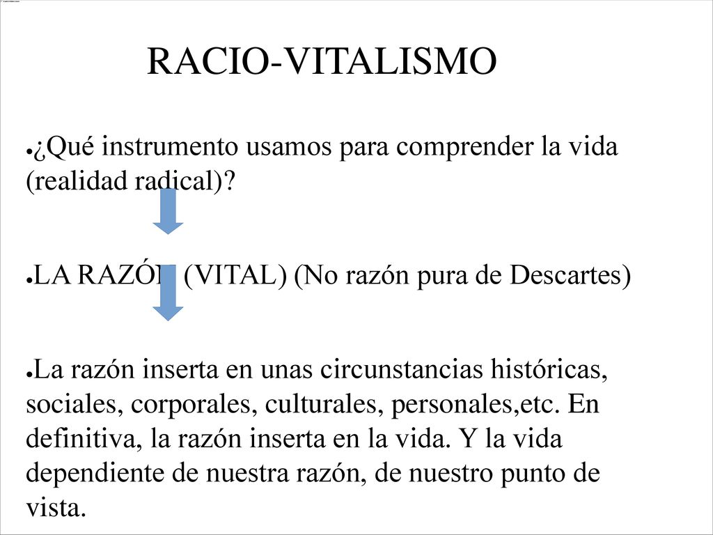 RACIO-VITALISMO ¿Qué instrumento usamos para comprender la vida (realidad radical) LA RAZÓN (VITAL) (No razón pura de Descartes)