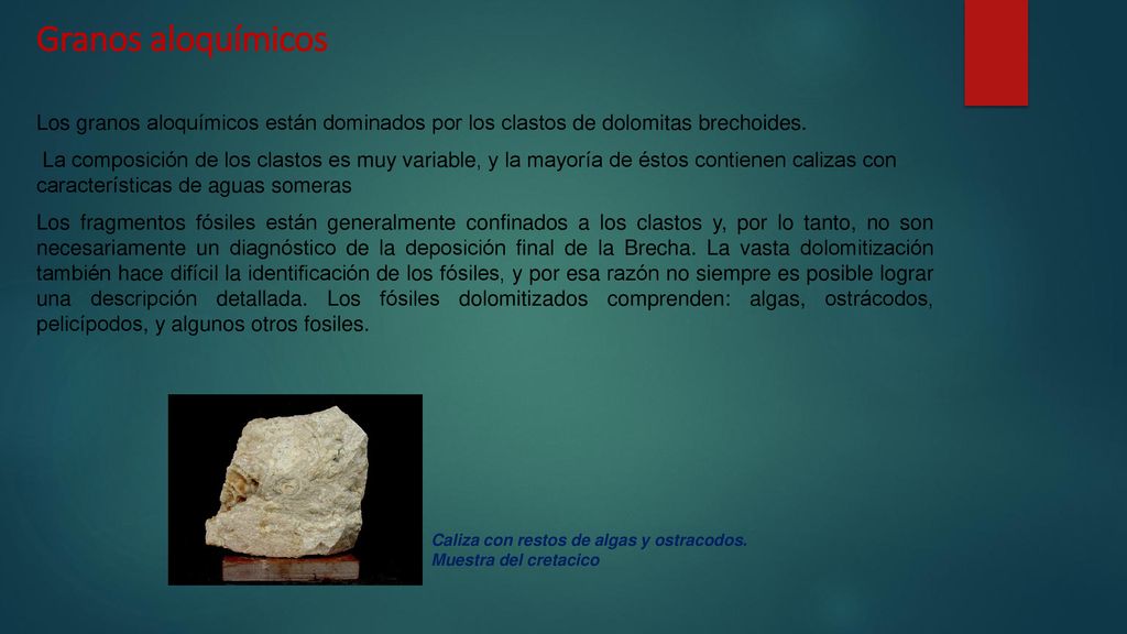 Granos aloquímicos Los granos aloquímicos están dominados por los clastos de dolomitas brechoides.