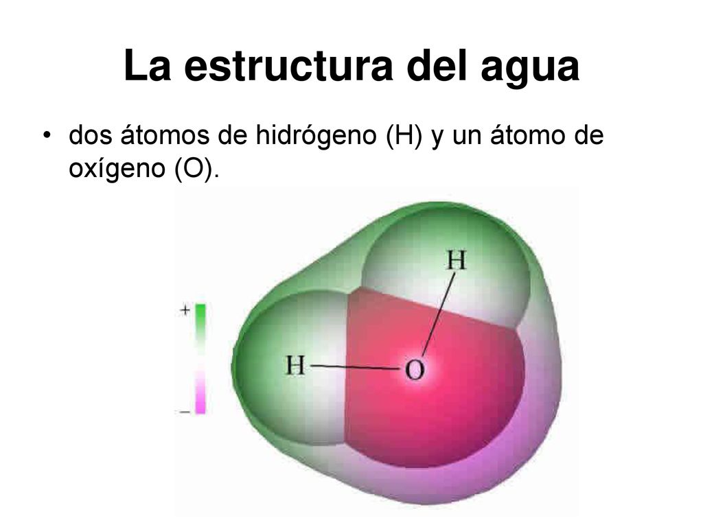 La estructura del agua dos átomos de hidrógeno (H) y un átomo de oxígeno (O).