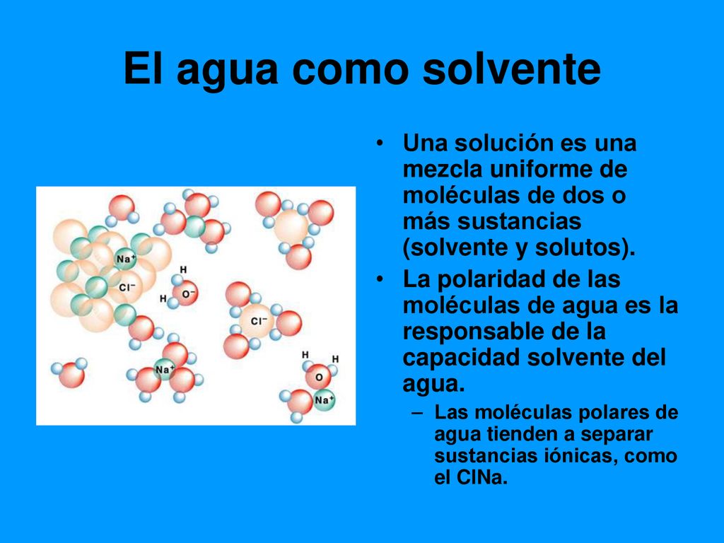 El agua como solvente Una solución es una mezcla uniforme de moléculas de dos o más sustancias (solvente y solutos).
