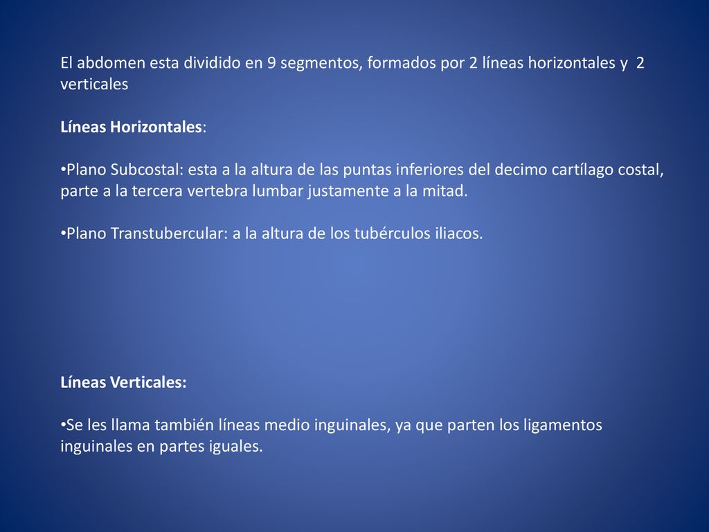 El abdomen esta dividido en 9 segmentos, formados por 2 líneas horizontales y 2 verticales