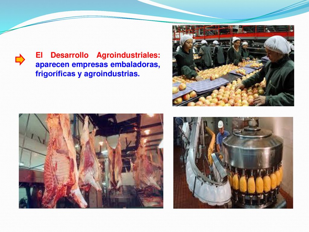 El Desarrollo Agroindustriales: aparecen empresas embaladoras, frigoríficas y agroindustrias.