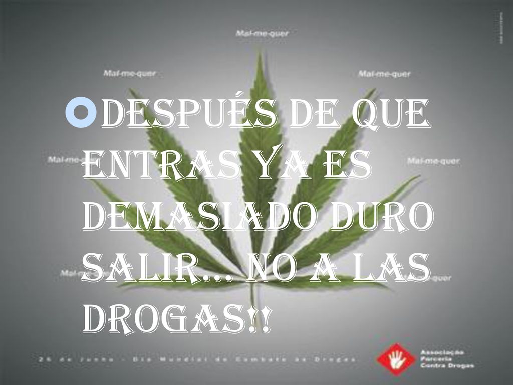 Después de que entras ya es demasiado duro salir… NO A LAS DROGAS!!