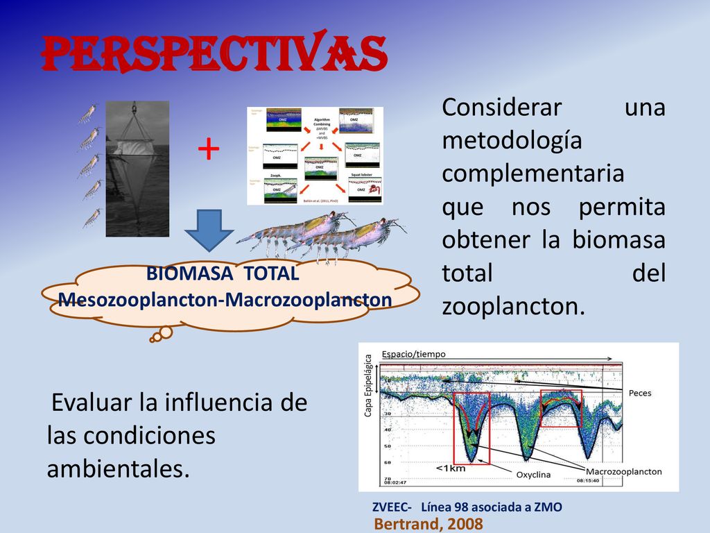 Perspectivas Considerar una metodología complementaria que nos permita obtener la biomasa total del zooplancton.