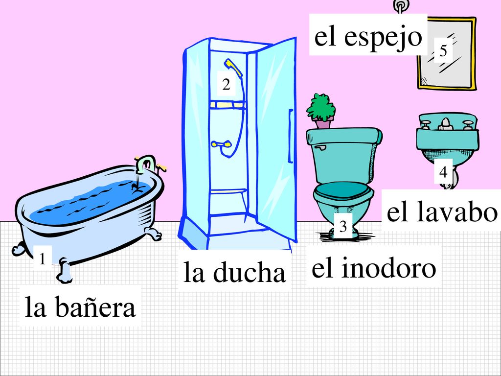 el espejo el lavabo 3 1 el inodoro la ducha la bañera